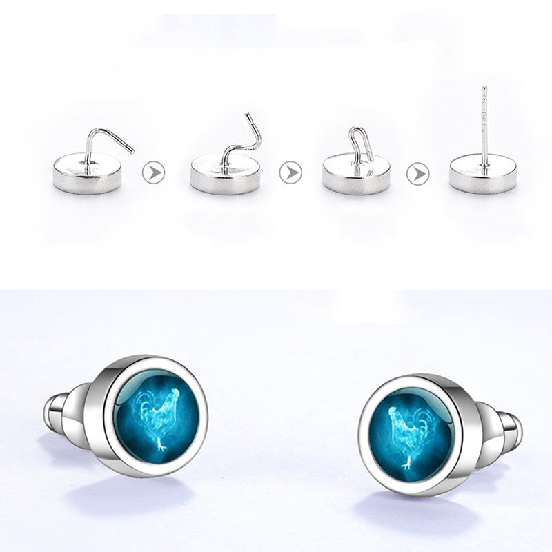 Sterling Silver Zodiac Earrings For Men