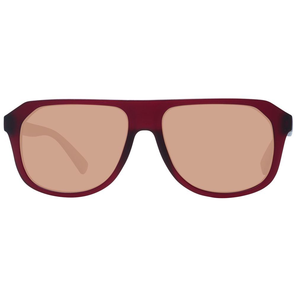 Serengeti Burgundy Men Sunglasses