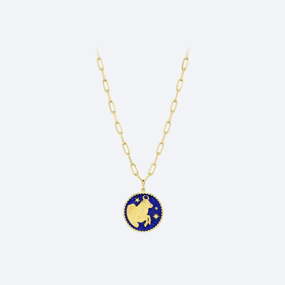 12 Constellation Gold Coin Pendant Clavicle Chain